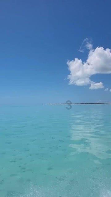 “数”融一城风流 “街”续千年文脉 ——写在2024首届南昌绳金塔论坛开幕之际
